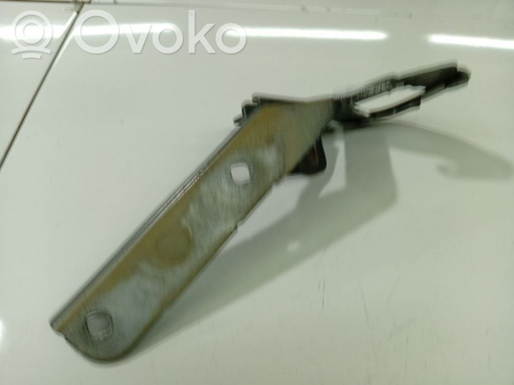 Citroen C4 I Picasso Cerniere del vano motore/cofano 