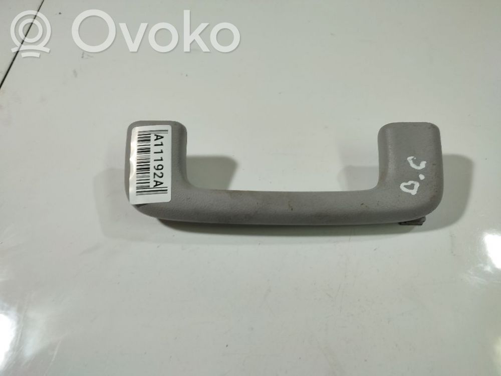 Asidero interior trasero