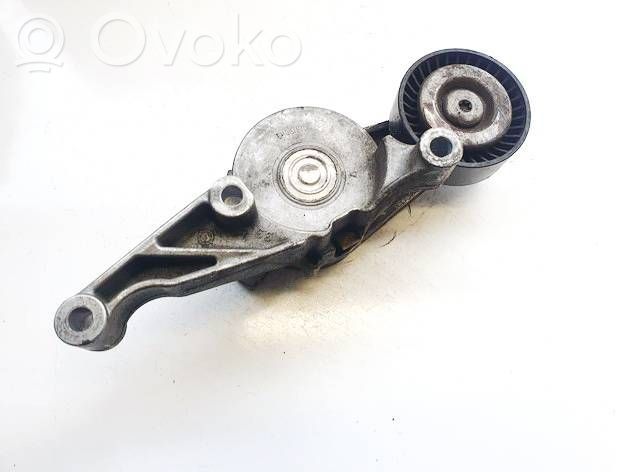 Volkswagen PASSAT B6 Întinzător curea generator/alternator 