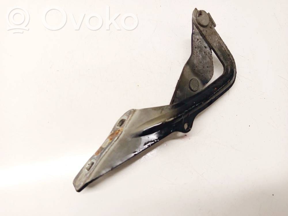 Ford Focus Dzinēja pārsega eņģe (-es) 