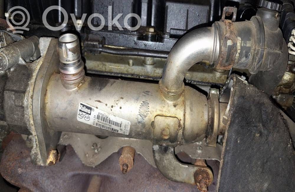 Ford Focus C-MAX Valvola di raffreddamento EGR 
