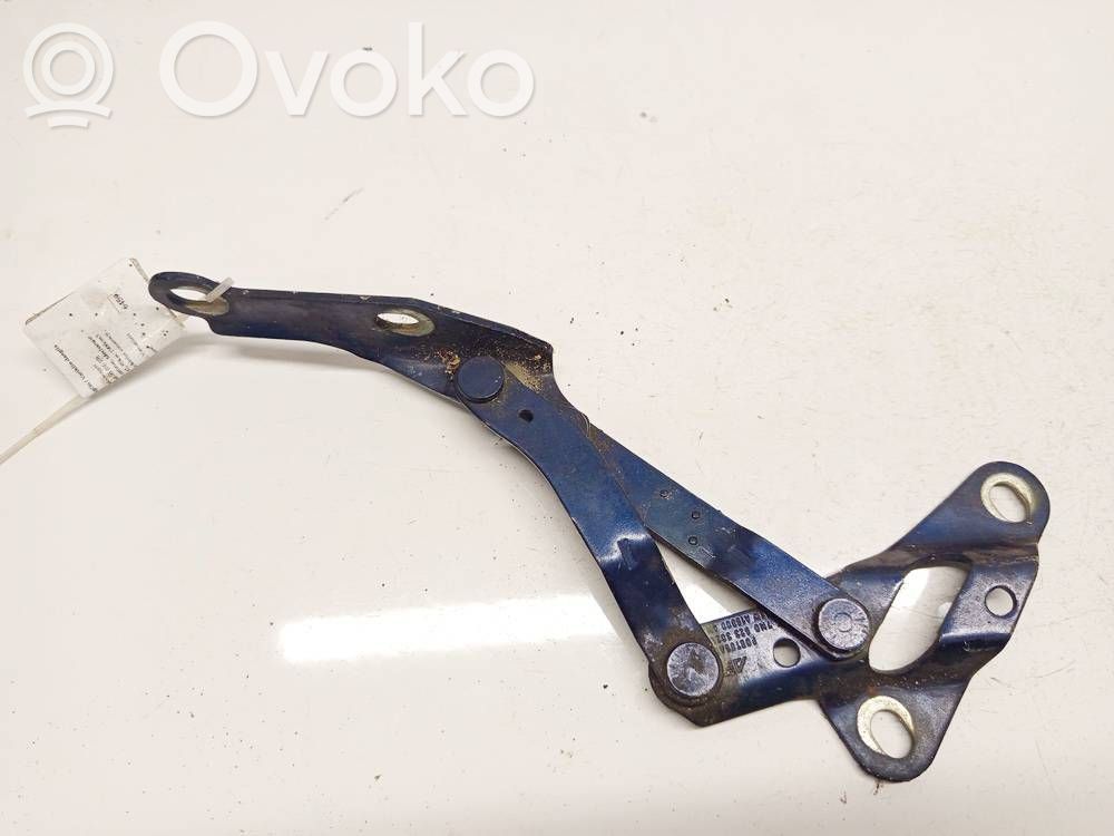 Ford Galaxy Balamale capotă 