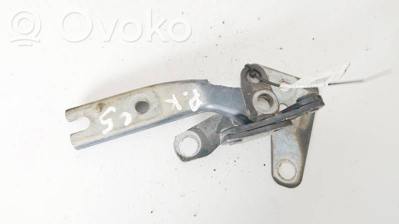 Engine bonnet/hood hinges
