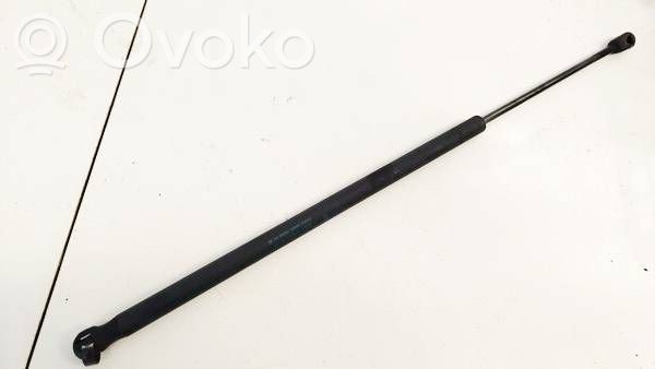 Ford Fiesta Ammortizzatore portellone posteriore/bagagliaio 