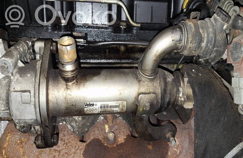 Citroen C5 Răcitor supapă EGR