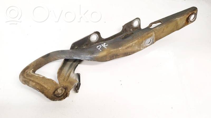 Peugeot 207 Balamale capotă