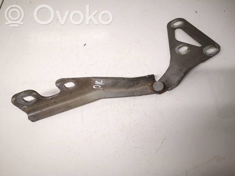 Opel Signum Balamale capotă 