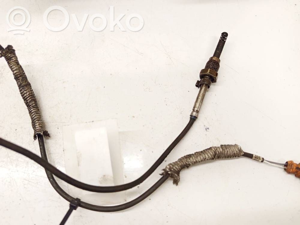 Skoda Octavia Mk2 (1Z) Sensore di temperatura dei gas di scarico