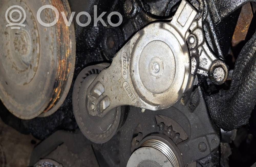 Volvo V50 Întinzător curea generator/alternator 