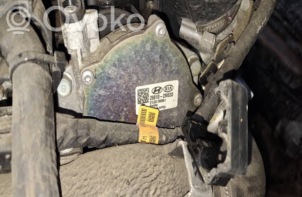 Hyundai Tucson IV NX4 Bomba de vacío 