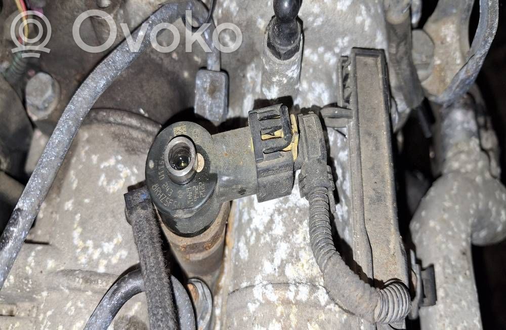 Inyector de combustible   0445110243,0445110243