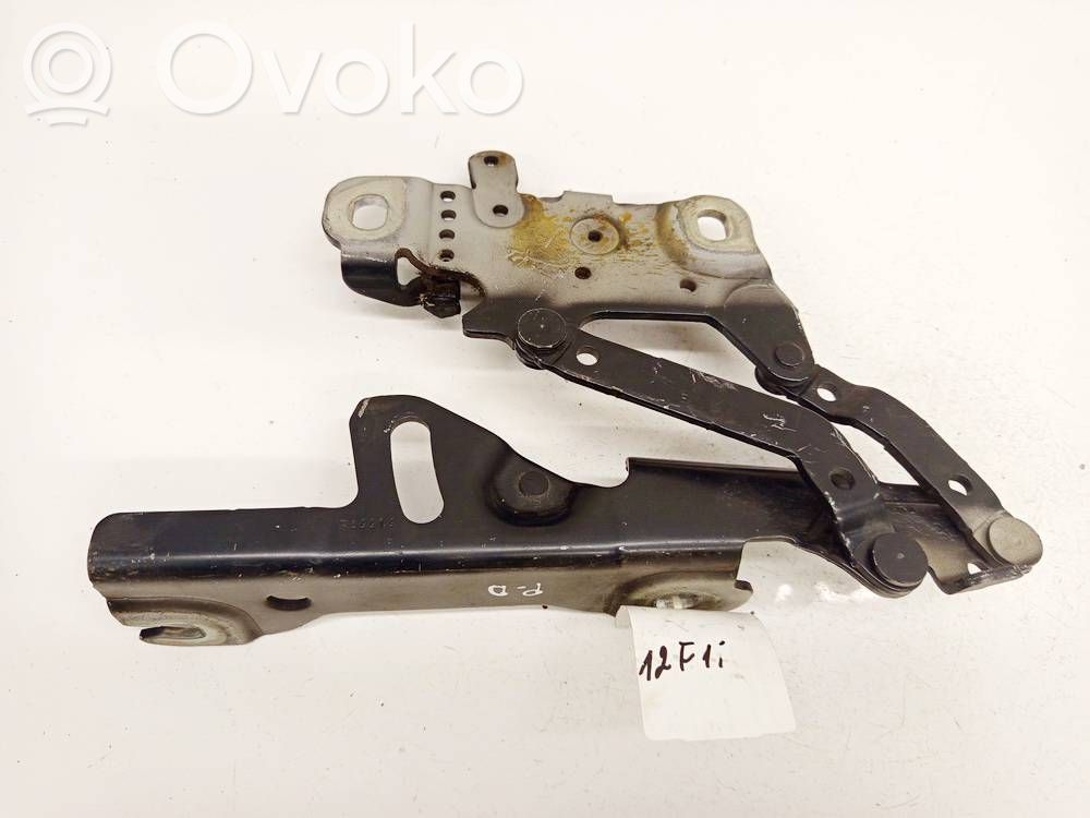 BMW 3 F30 F35 F31 Cerniere del vano motore/cofano 