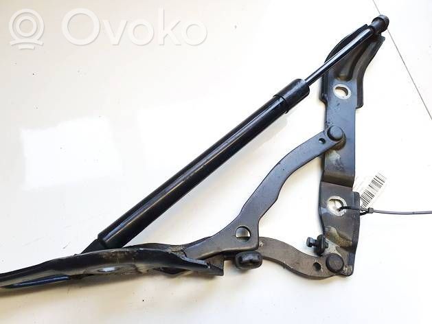 BMW 3 E90 E91 Ammortizzatore portellone posteriore/bagagliaio 