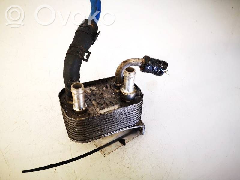 Audi Q7 4L Radiatore del carburatore (radiatore) 