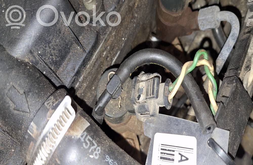 Inyector de combustible   0445110008,9635196580,0445110008,9635196580