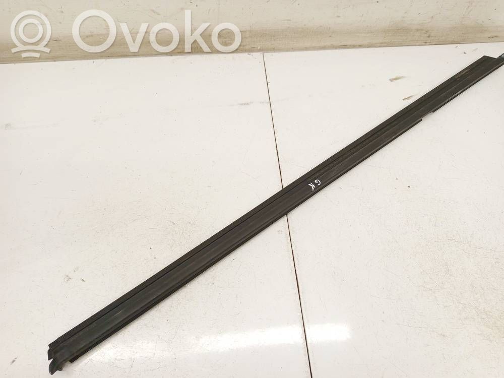 Volkswagen Golf VI Rear door glass trim molding 