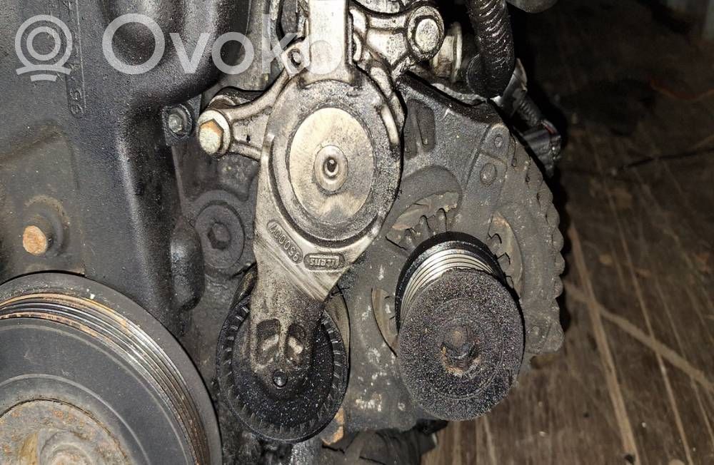 Tensor de correa del alternador   950007,950007