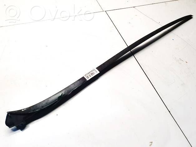 Volkswagen Golf V Ornament parbriz 