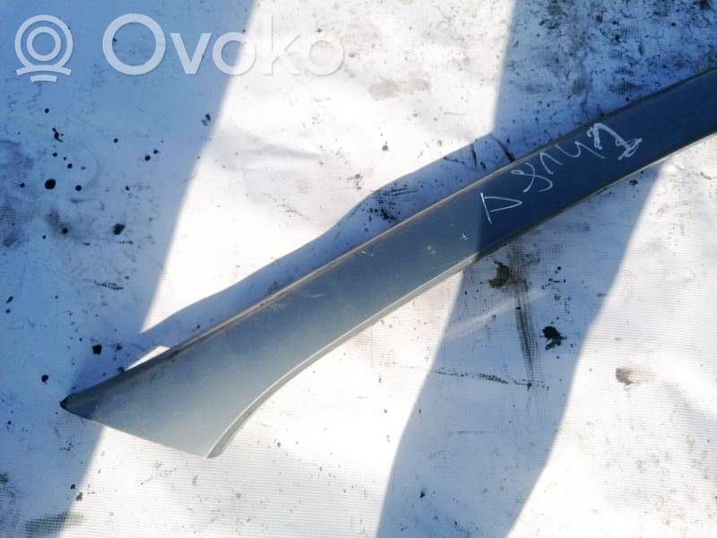 Peugeot 607 Ornament parbriz 