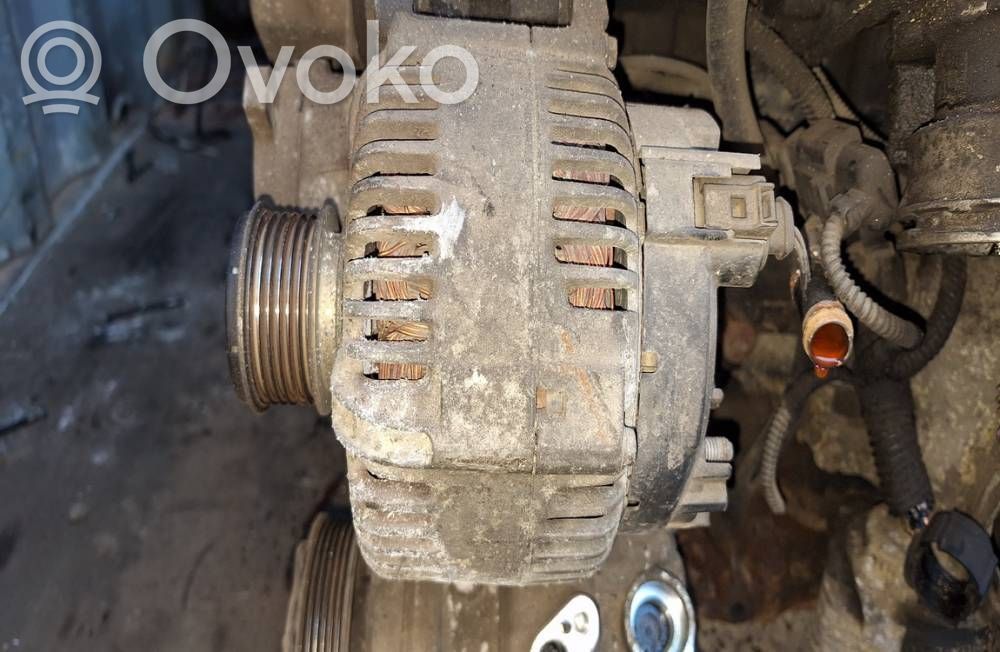 Generatore/alternatore   021903026L,021903026L