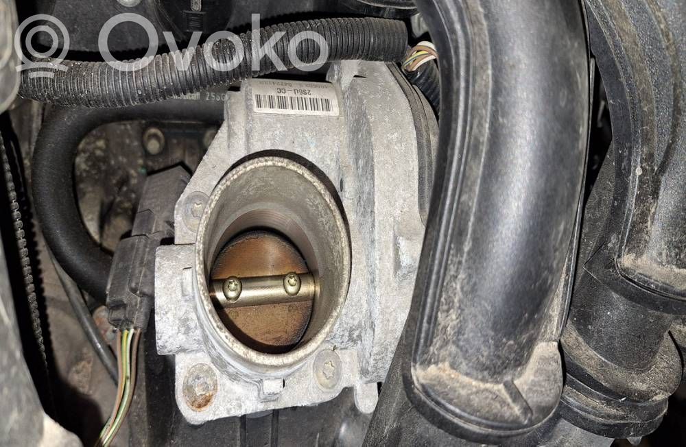 Ford Fiesta Droseļvārsts 
