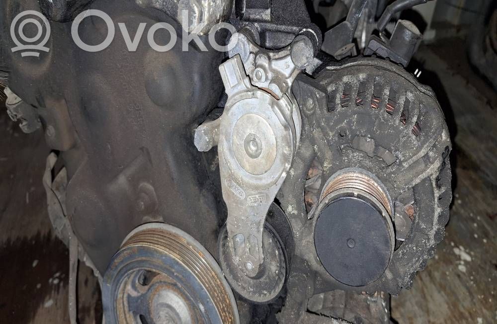 Peugeot 307 Întinzător curea generator/alternator 