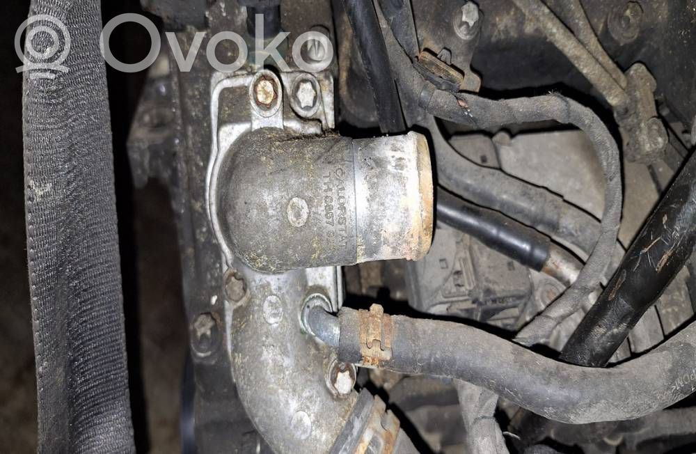 Opel Signum Tuyau de liquide de refroidissement moteur