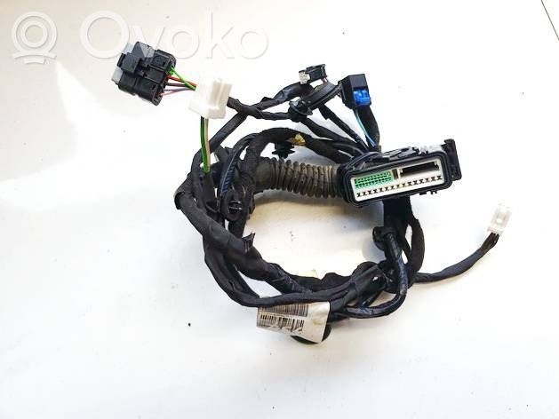 Renault Austral Otros cableados