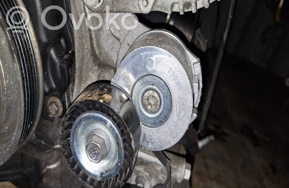 Ford Kuga I Diržo įtempėjas 