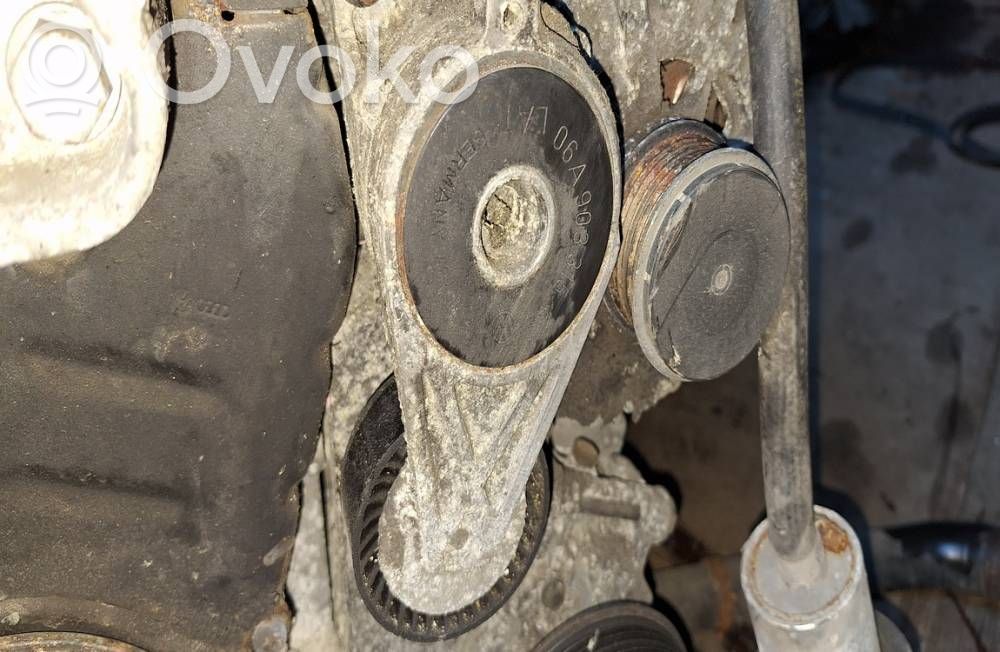 Audi A3 S3 8P Tendicinghia generatore/alternatore 