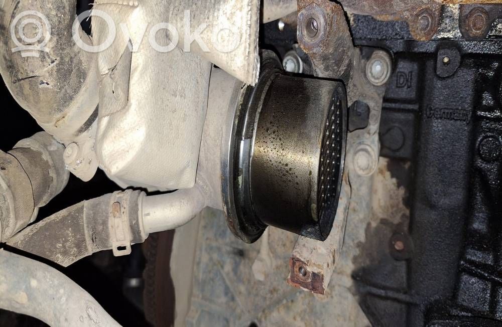 Skoda Octavia Mk3 (5E) Valvola di raffreddamento EGR