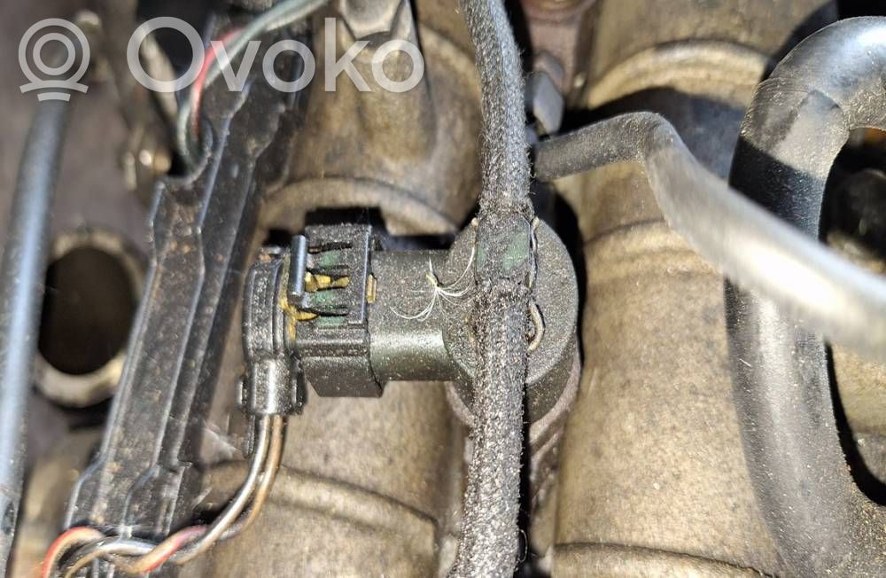 Injektor Einspritzdüse   0445110159,0445110159