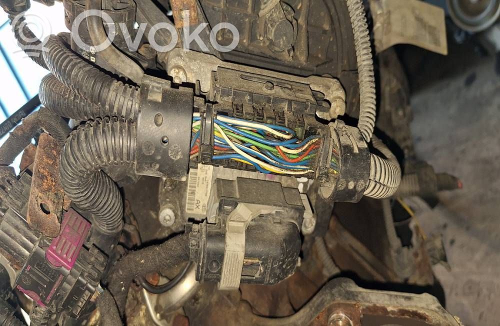 Unidad de control/módulo del motor   55557933,55557933