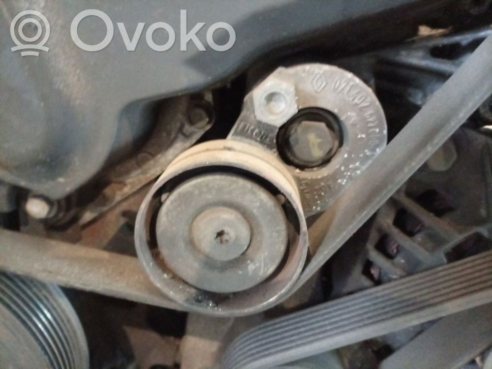 Nissan Primera Tendicinghia generatore/alternatore 