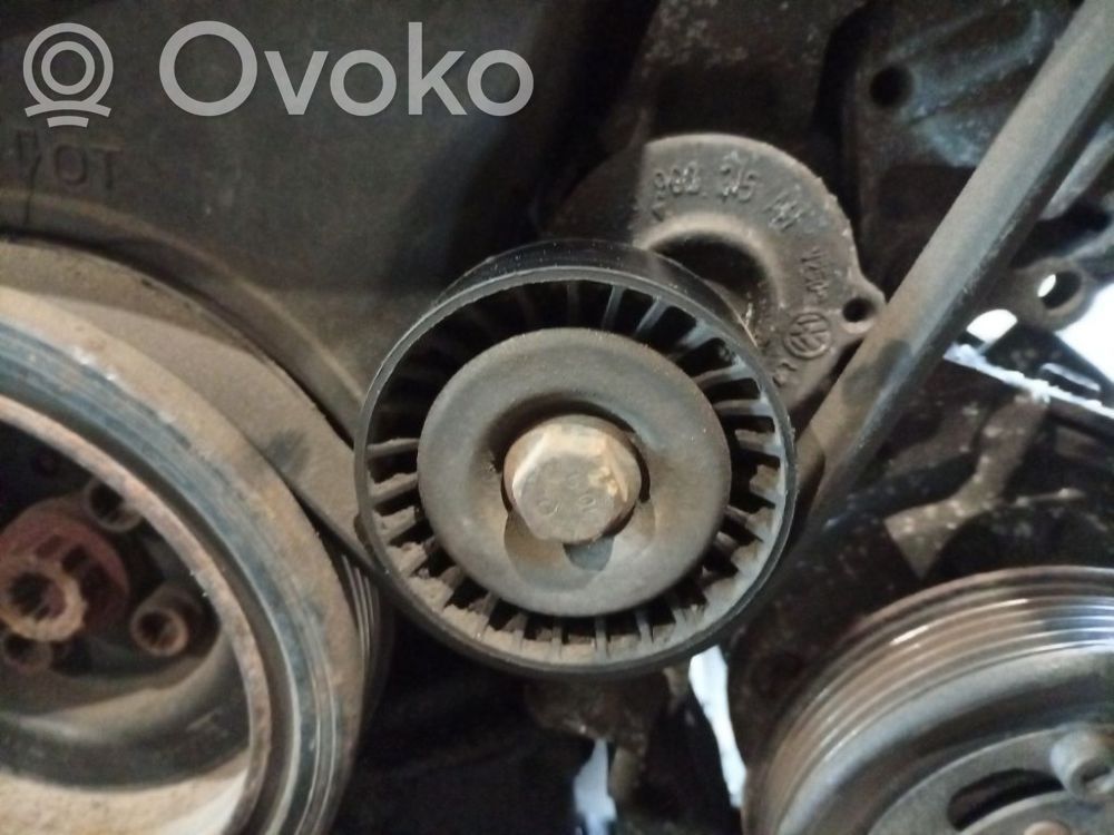 Volkswagen Cross Polo Tendicinghia generatore/alternatore