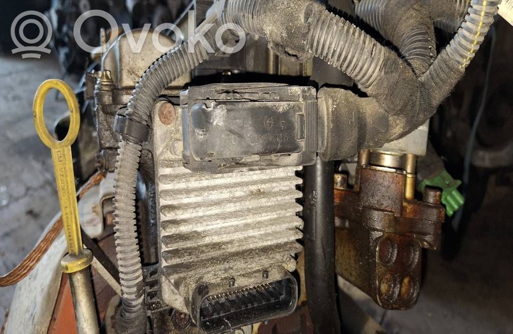 Engine control unit/module   D98007,9355919,CLPP,D98007