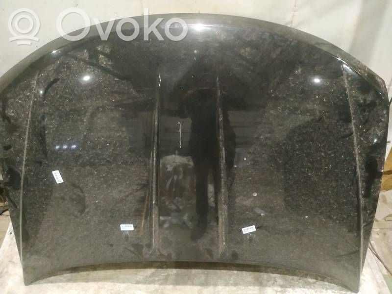Dodge Journey Vano motore/cofano 