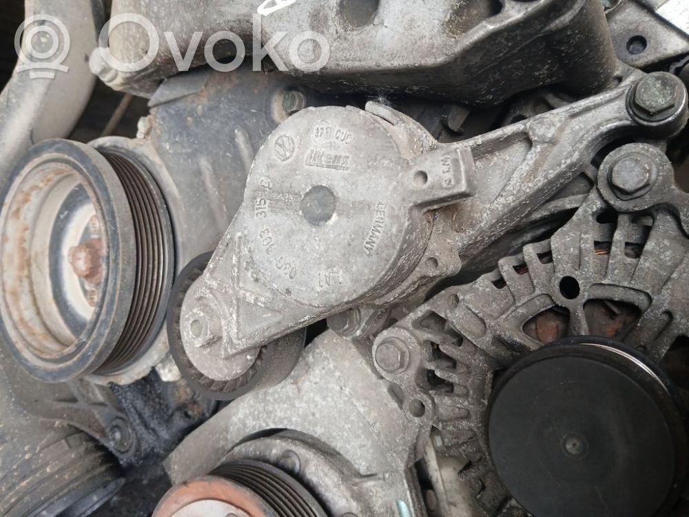 Volkswagen Golf Plus Întinzător curea generator/alternator 