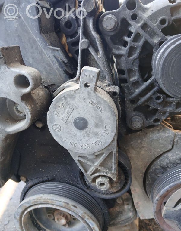 Volkswagen PASSAT B6 Întinzător curea generator/alternator 