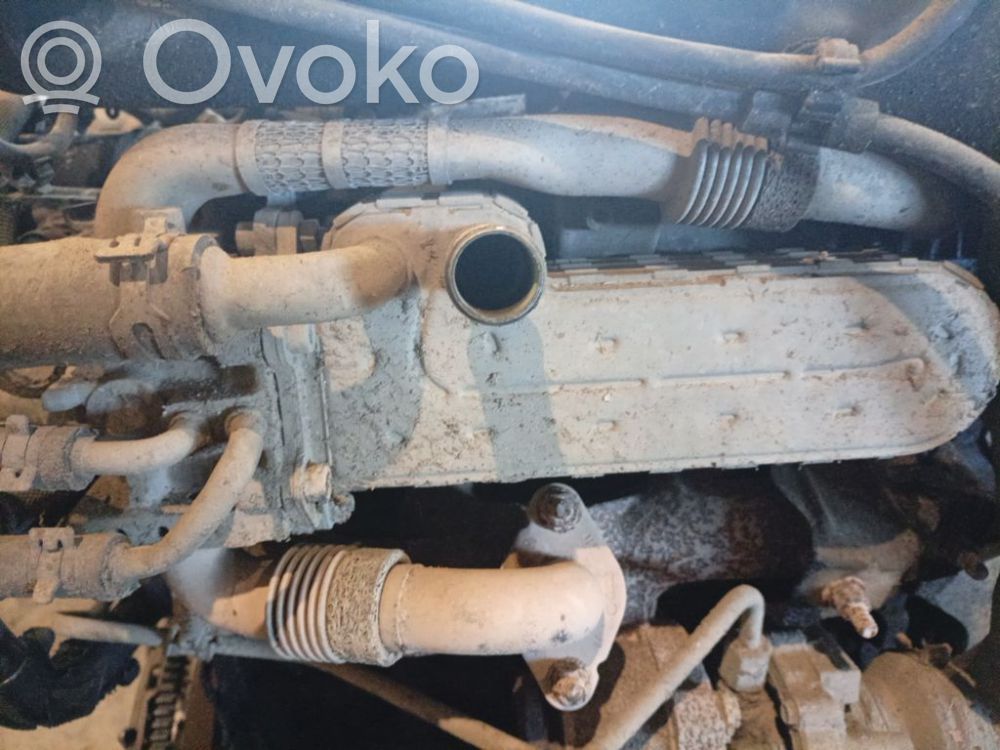 Skoda Octavia Mk2 (1Z) Răcitor supapă EGR 