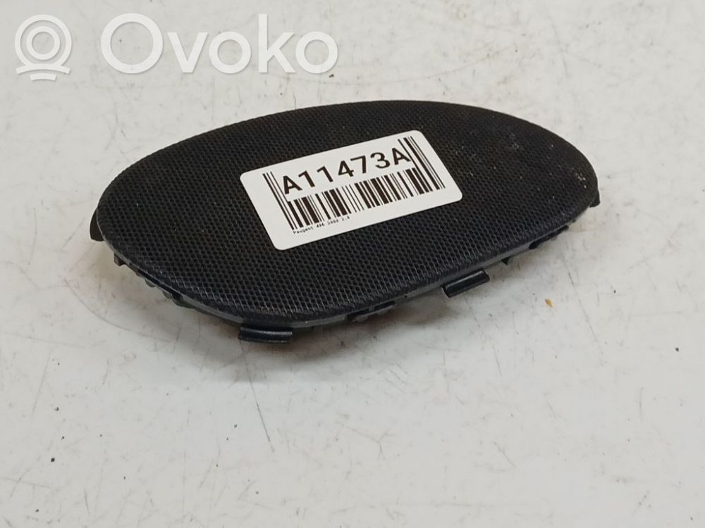 Peugeot 406 Etuoven kaiutin 