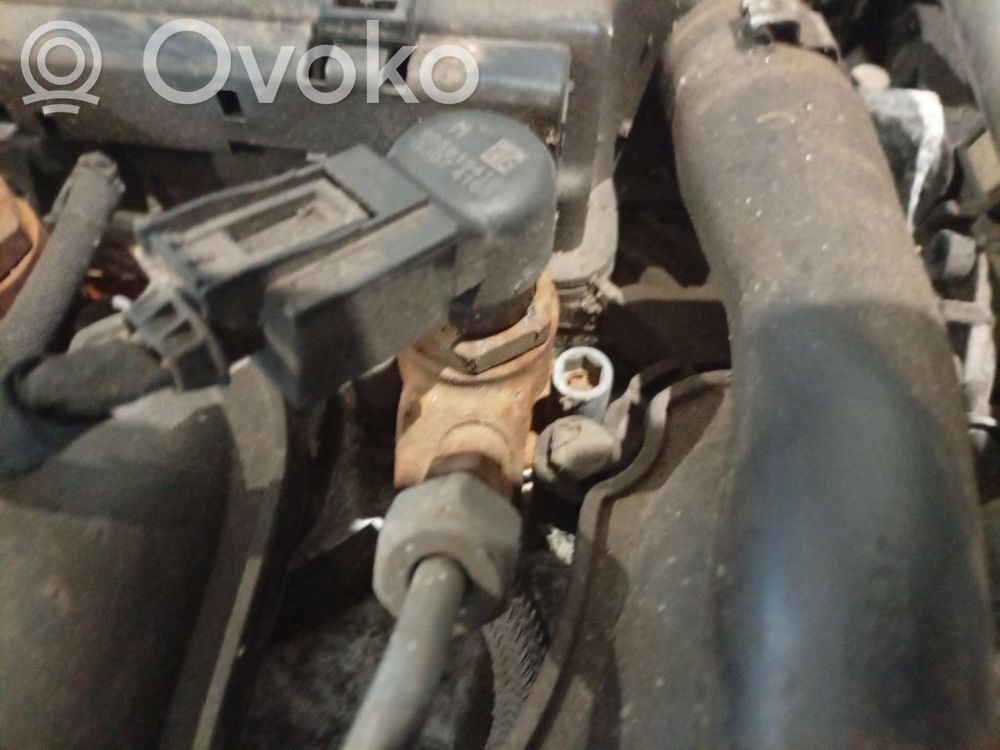 Peugeot 307 Injector combustibil 