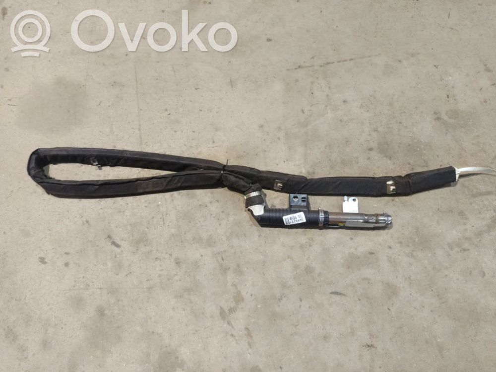 Renault Vel Satis Airbag del techo 