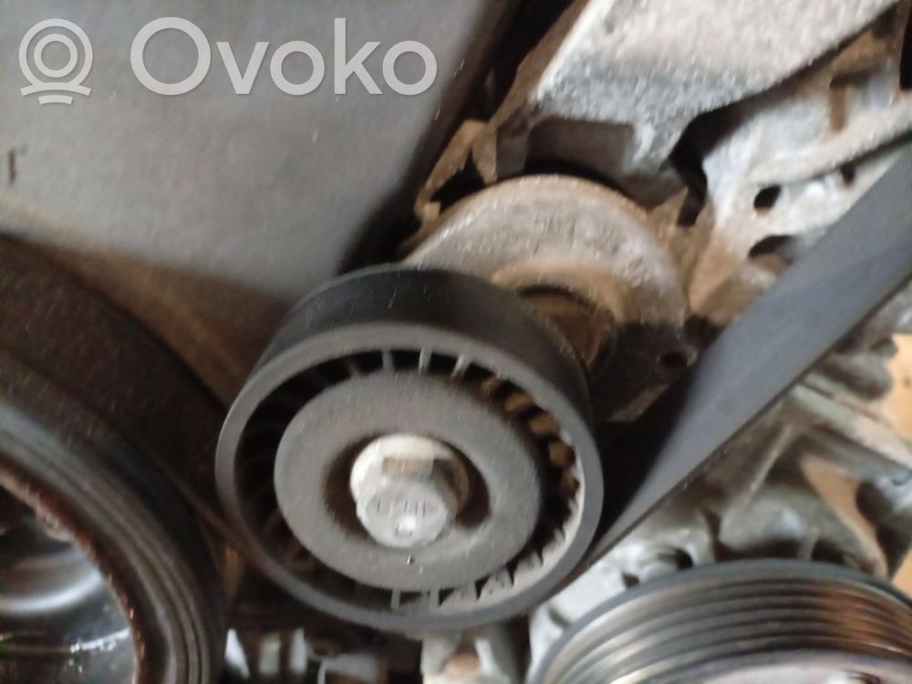 Seat Ibiza IV (6J,6P) Tendicinghia generatore/alternatore