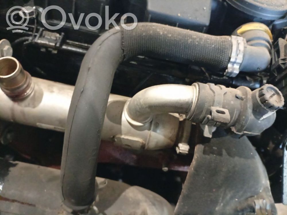 Ford S-MAX Tubo di sfiato