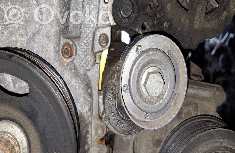 Skoda Octavia Mk2 (1Z) Tendicinghia generatore/alternatore 