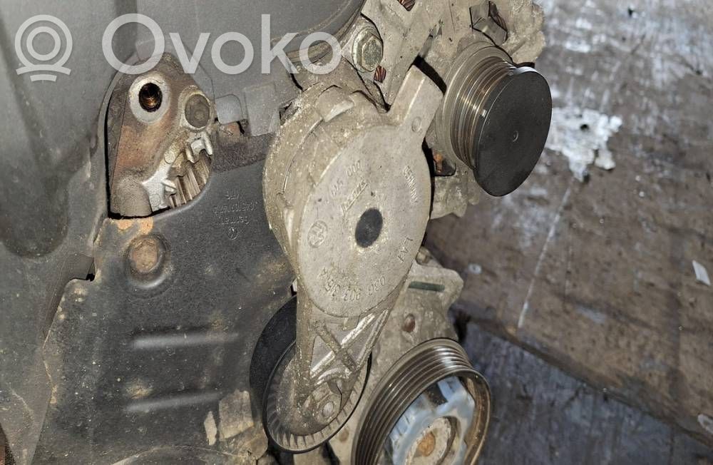 Audi A3 S3 8P Tendicinghia generatore/alternatore 