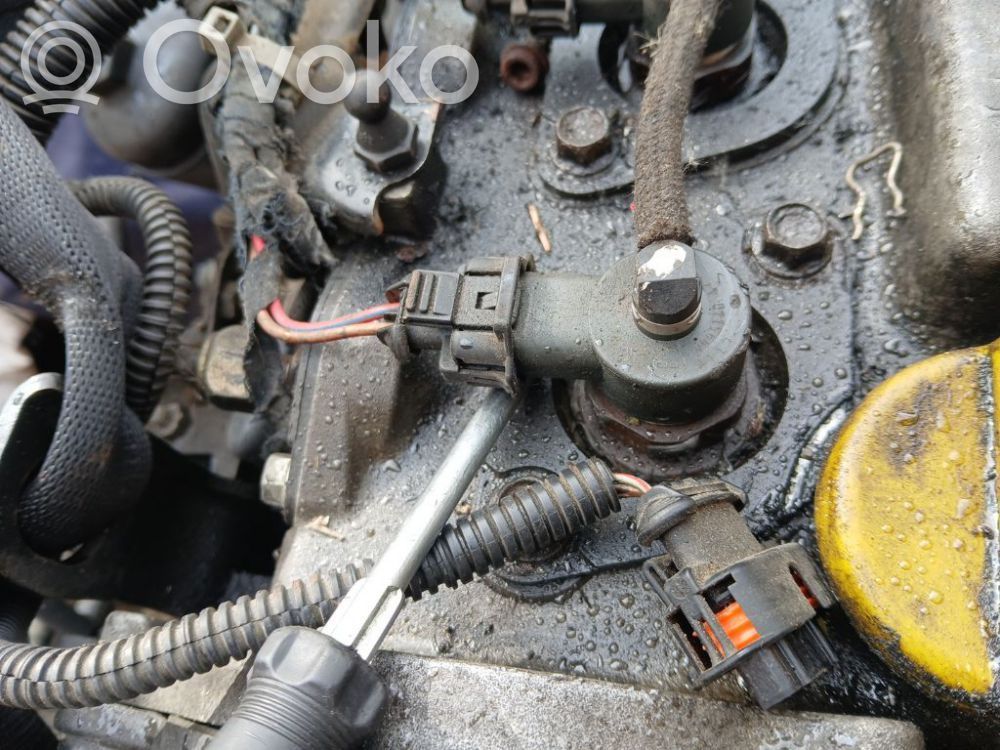 Inyector de combustible   0445110174,0445110174,0445110174