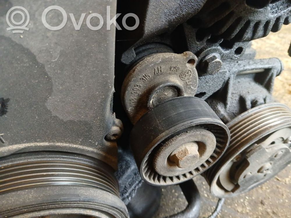 Skoda Roomster (5J) Tendicinghia generatore/alternatore