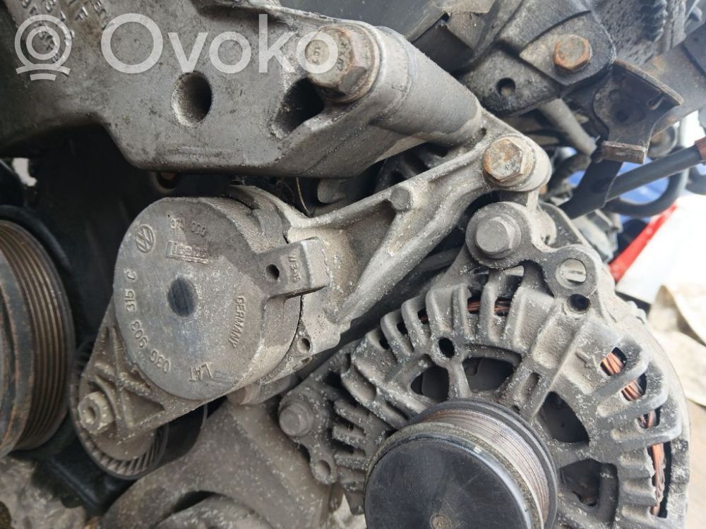 Volkswagen Touran I Tendicinghia generatore/alternatore
